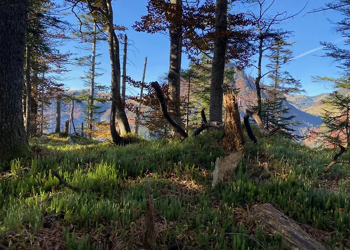 Appartement Penthouse Bergseetraum Mit 102 Qm Dachterrasse Walchsee