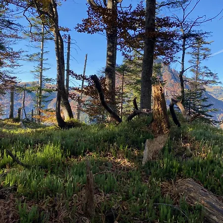 아파트 Penthouse Bergseetraum Mit 102 Qm Dachterrasse 왈츠시